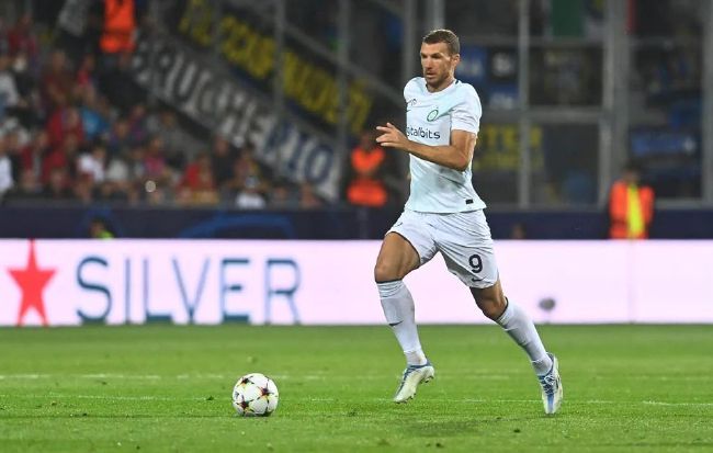 驯服的管家